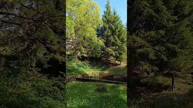 ВЕСНА В ДЕРЕВНЕ 24.05.2024