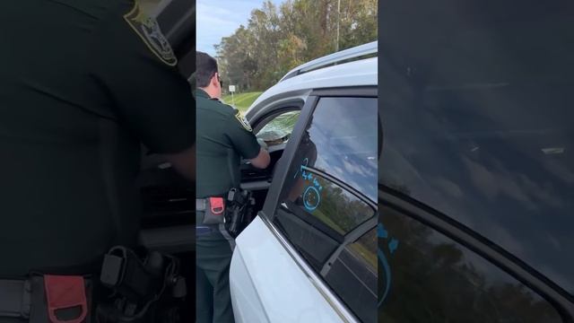 Черепаха влетела в лобовое