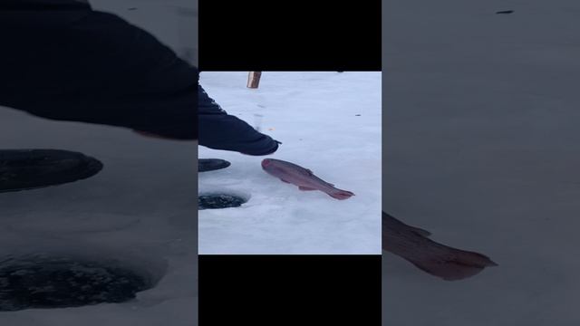 1000021474.mp4
