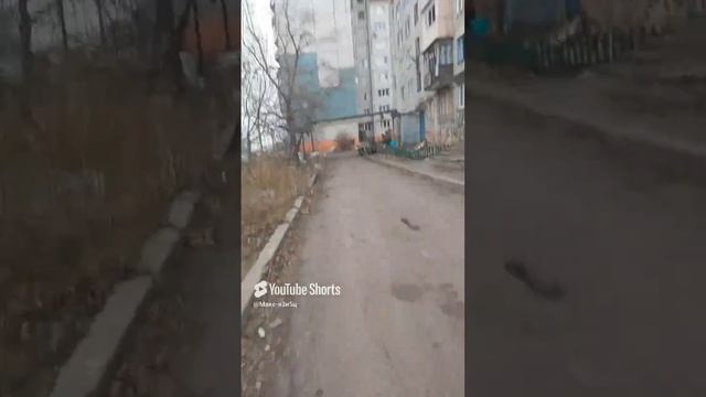 Селидово декабрь 2024