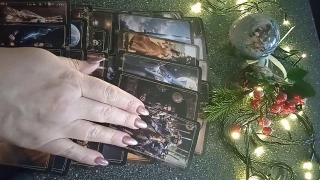 VID_20241221_150546.mp4