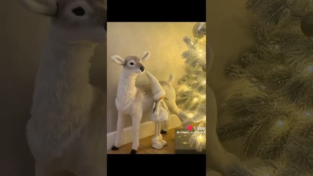 вот такой рандомный наборчик фоток 🥹🎄
я кстати активно закупаюсь подарками к новому году
а вы ?