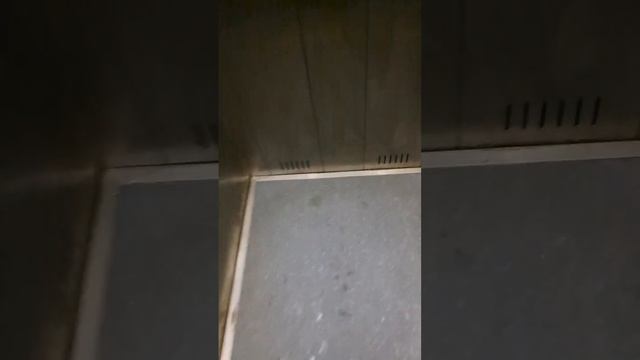 1000108336.mp4