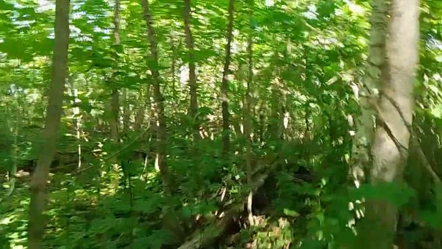 Село Смерди, Казанский храм..mp4
