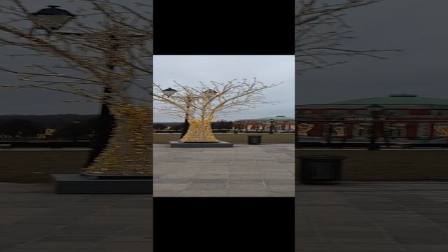 Музей-заповедник Царицыно