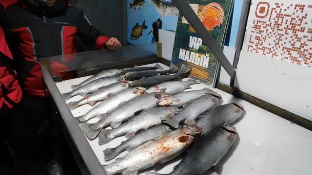 Отчет рыбака за 21 декабря 2024