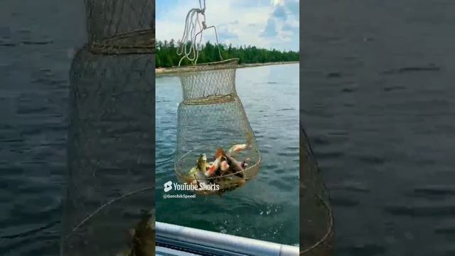 РЫБАЛКА НА ОЗ. УНДУГУН ЗАБАЙКАЛЬСКИЙ КРАЙ
