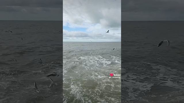 1000082519.mp4