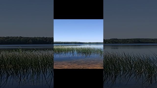 Озеро (Псковская обл.)