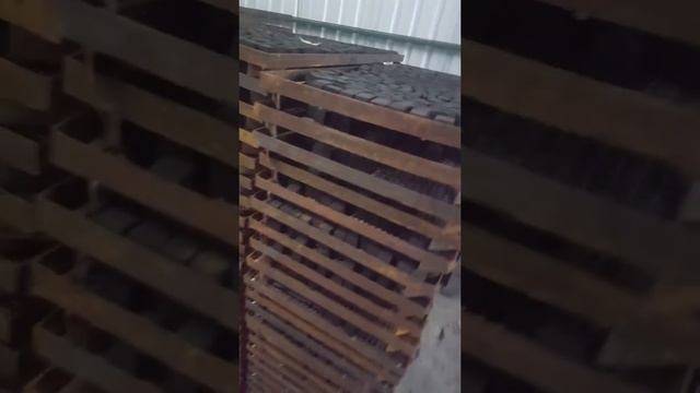 Inside charcoal factory: coconut charcoal briquettes ready for the oven