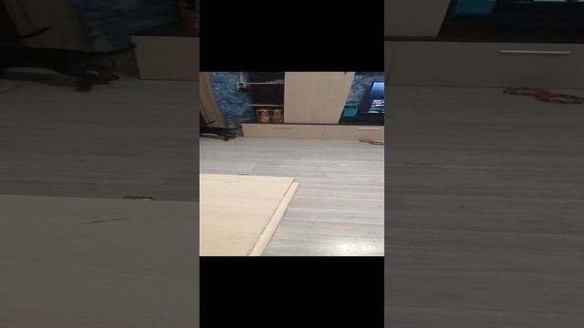 Мои любимые собаки