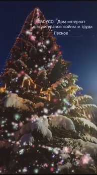 "Новогоднее преображение" дома- интерната для ветеранов войны и труда « Лесное»