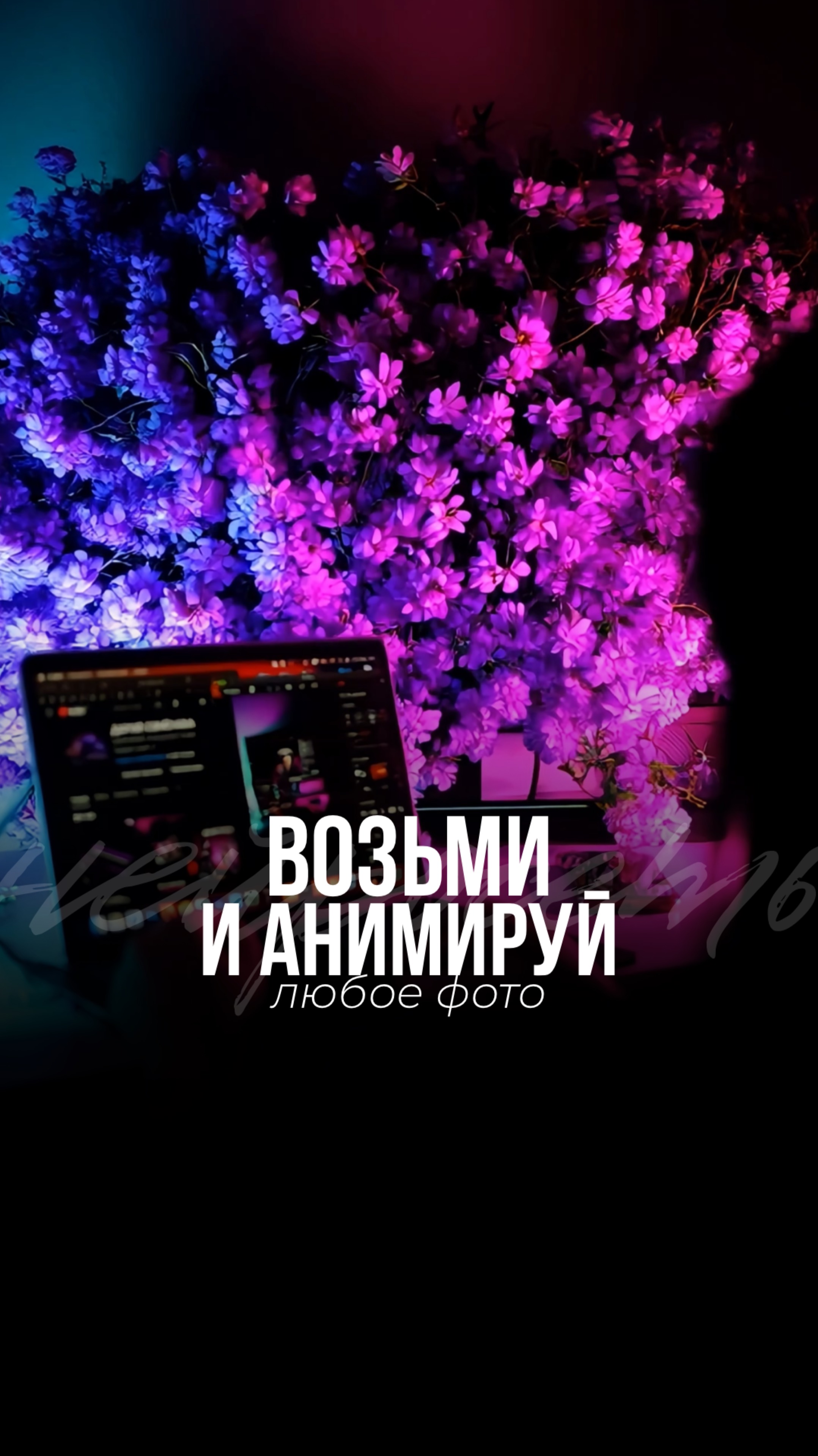 Связка нейросетей для генерации анимированных видео бесплатно.