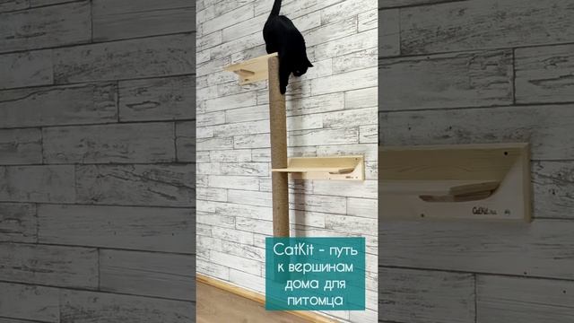 Когтеточка КОТОДЕРЕВО для кошек
