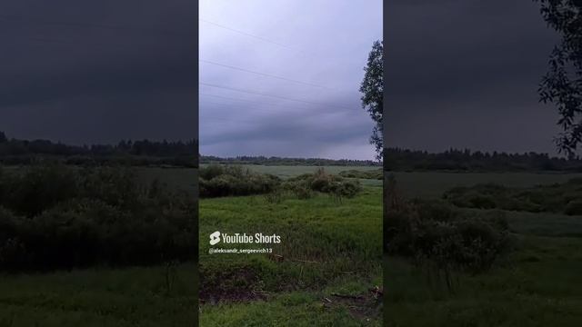 Давно не было гроз, и вот идёт туча к нам...