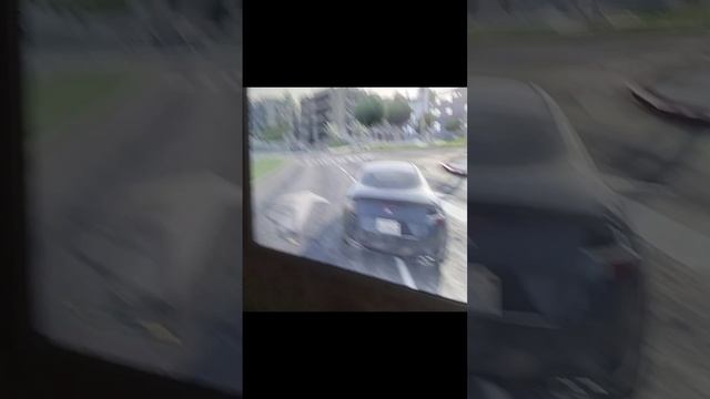 scene_output.mp4