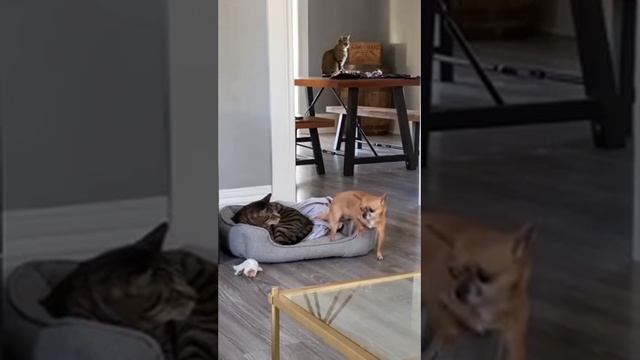 1000069127.mp4