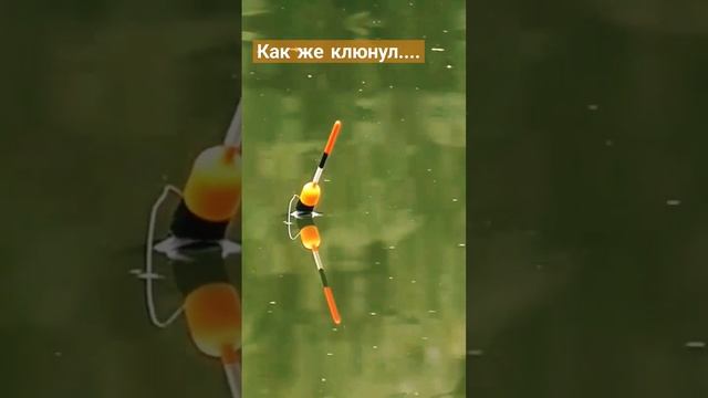 рыбалка на поплавок