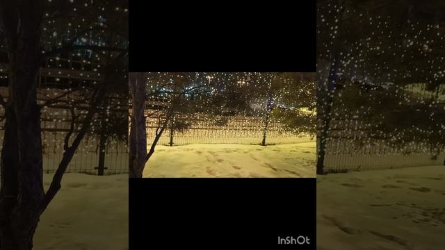 Новогодний континент