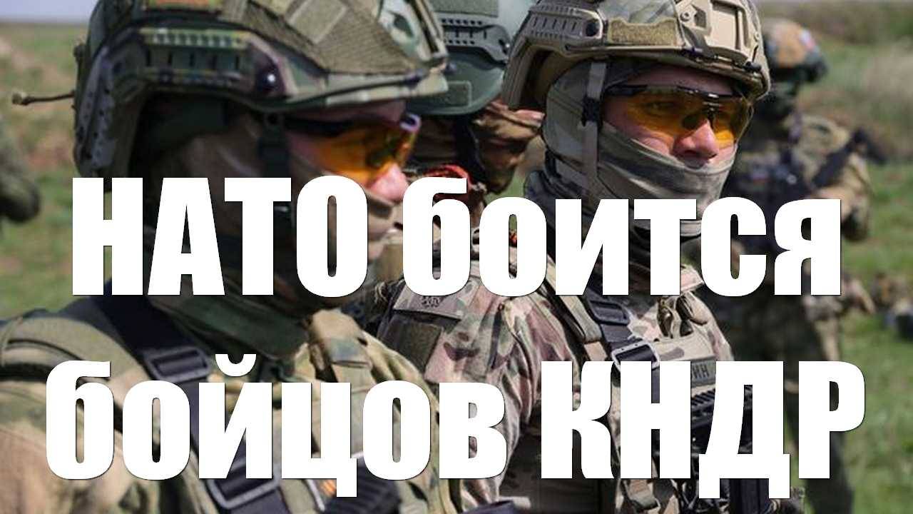 ВСУ и НАТО до смерти боятся солдат КНДР на СВО