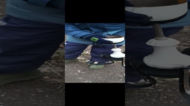 наша школа и макси