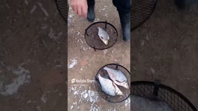 Копчение. Лещ, подлещик