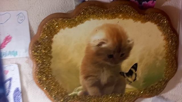 ОБЗОР моих рисуночков😄🥳🙀😽