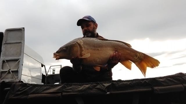 VID_20220911_171007.mp4
