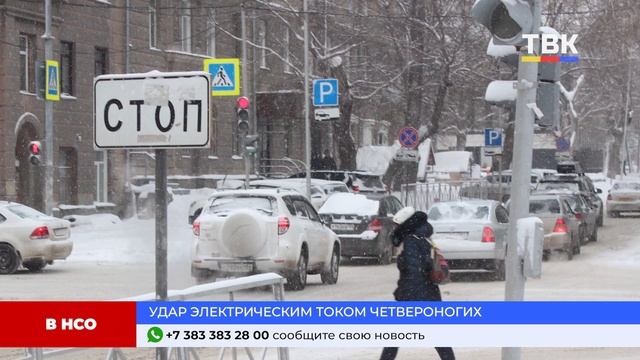 Программа "Дайджест" 20-12-24