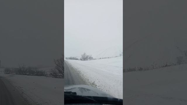 красота Оренбургской области