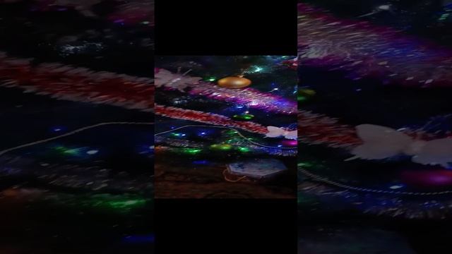 VID20241220183015.mp4