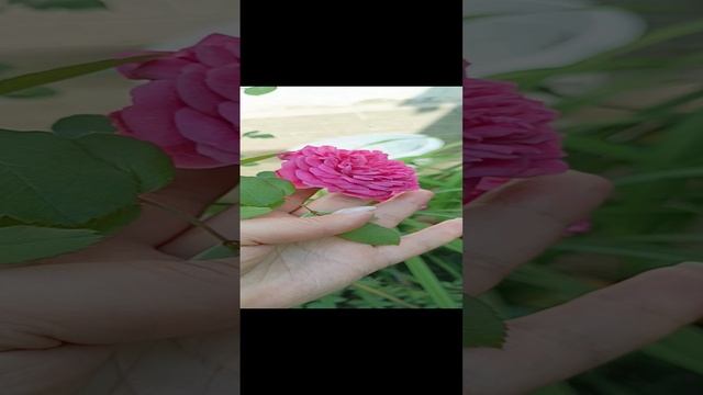 1000066270.mp4