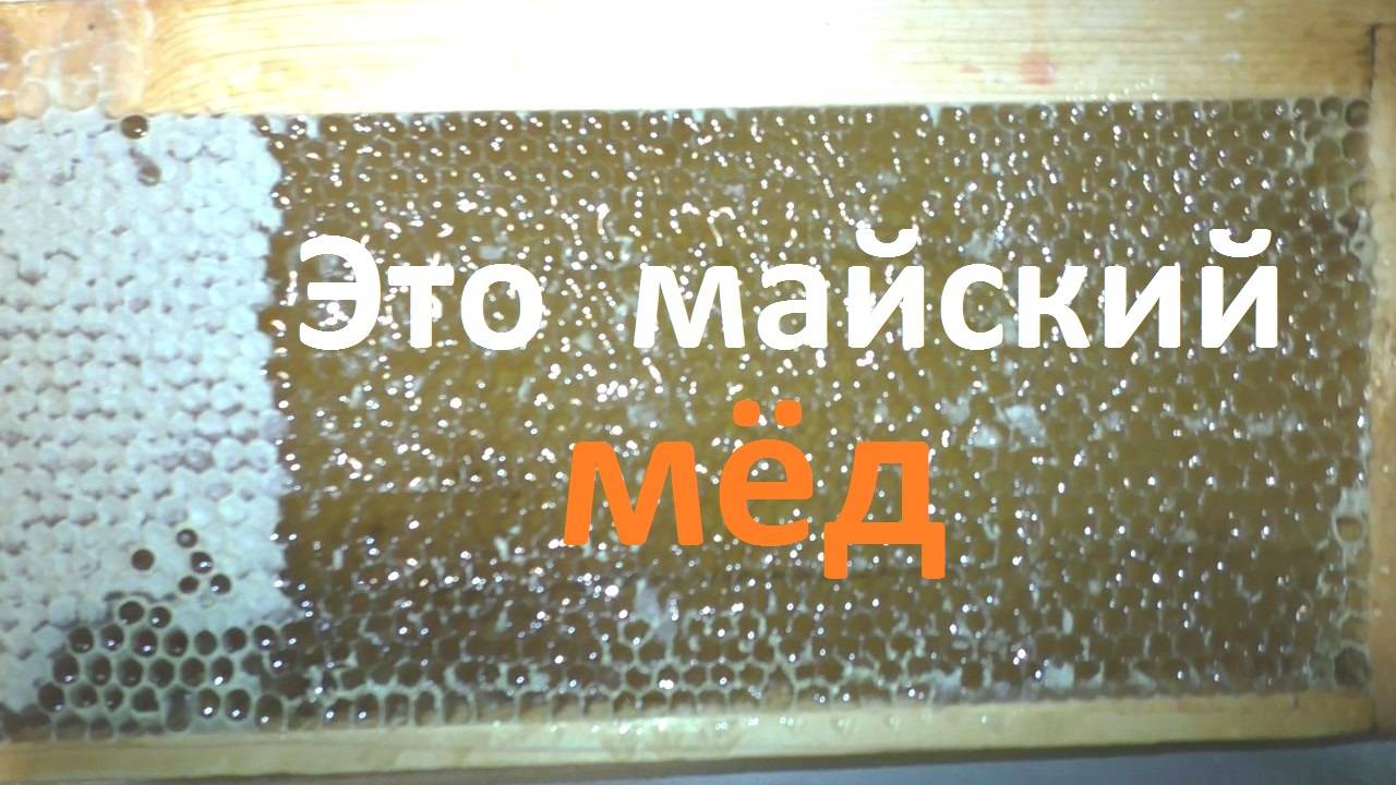 Реален ли майский мед