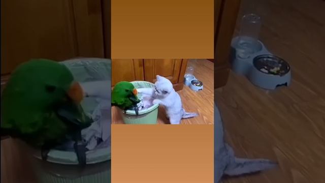 1000069095.mp4