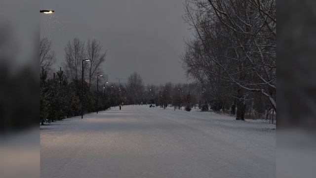 Вечерний остров татышев в снегопад
