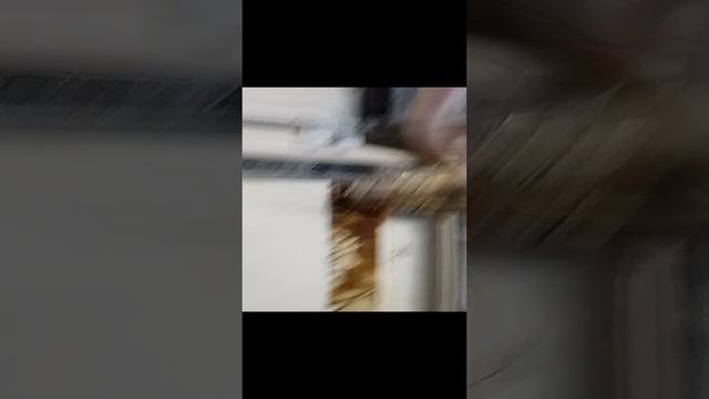 21-12-2024