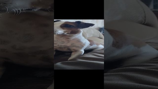 1000094108.mp4