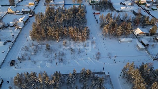 4297944 СТ 59 Грибное