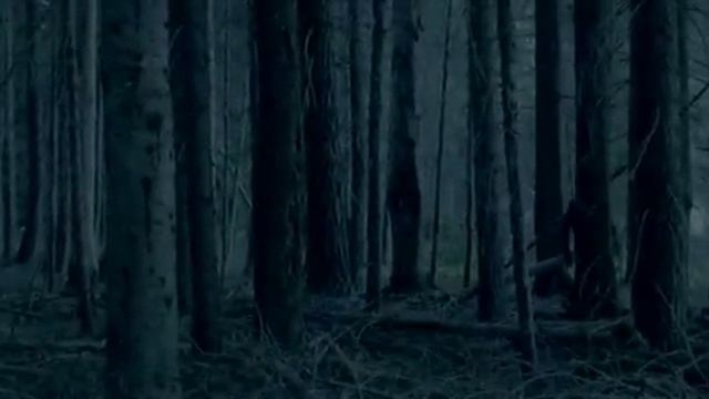 Живущий под кровом Всевышнего. ❤ Симон Хорольский