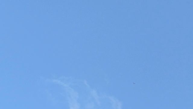 1000003086.mp4