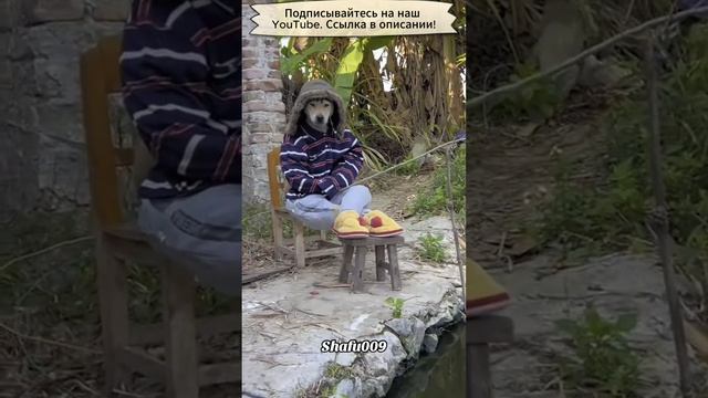 Рыболов