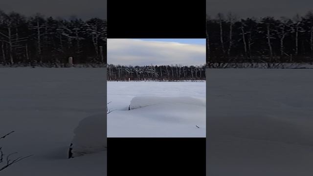 верховая езда 3 тренировка 4 часть