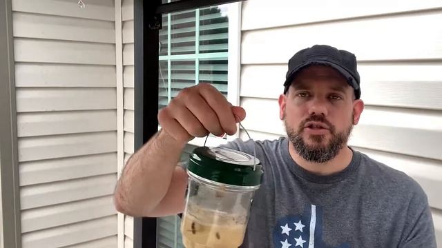 How to safely get rid of & kill yellow jackets and wasps so hummingbirds can feed and eat in peace!