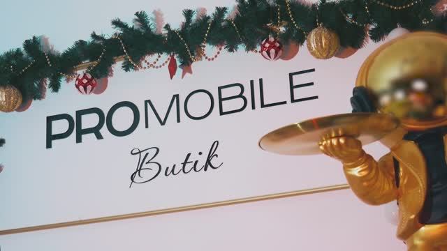 PRO mobile