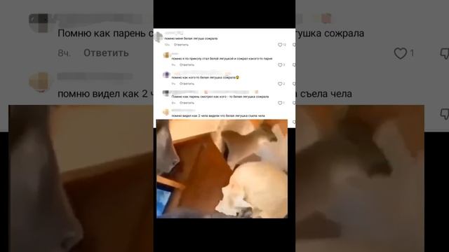 "Глянул в лицо страху"