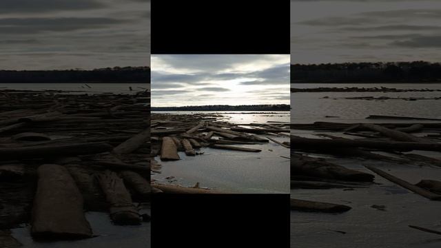 добро пропадает