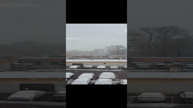 1000001245.mp4