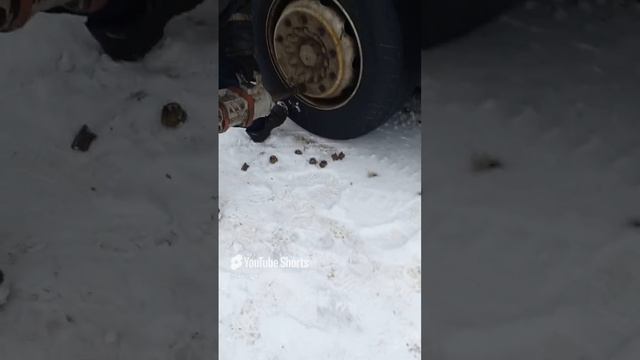 трр штибидидом.mp4