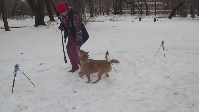 Весёлые старты 21.12.2024 Барат и Юлия