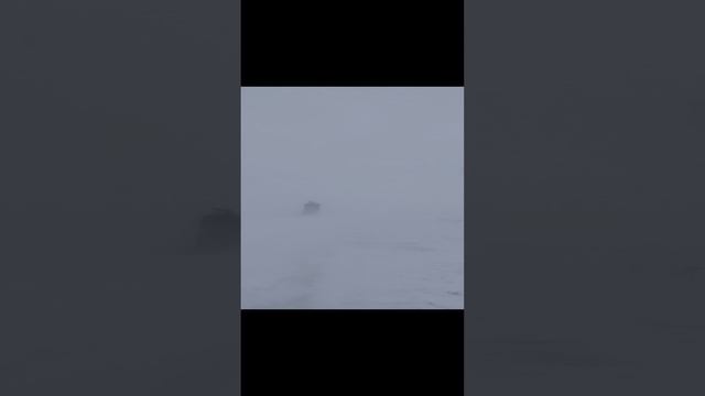 1000010596.mp4